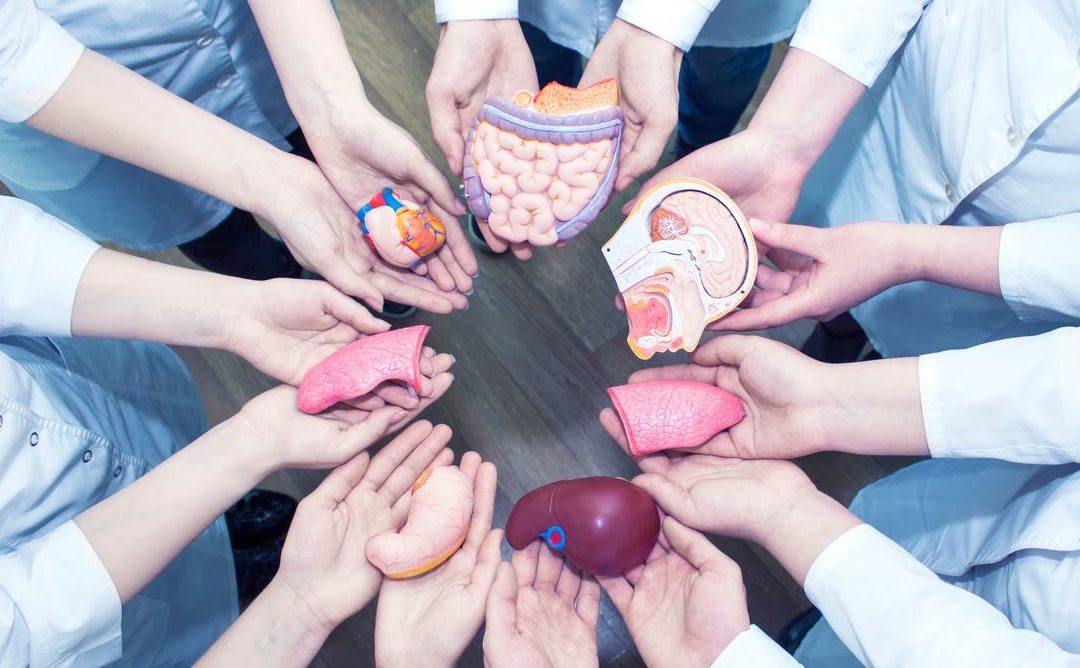 Organ Transplantation Center